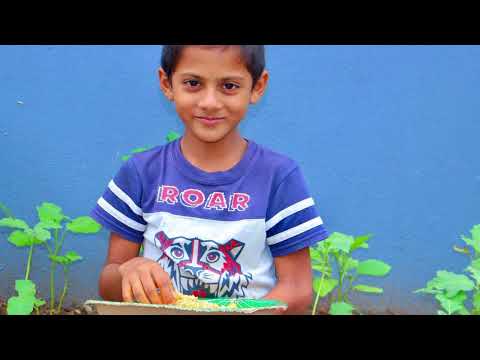 About Peter Elvin Ministries